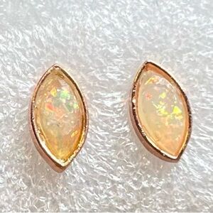 Elegant Pair of Opal Earrings